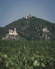 202508 - Alsace -129