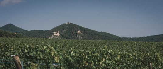 202508 - Alsace -126