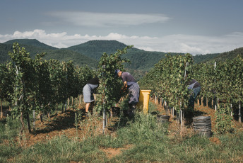 202508 - Alsace -114