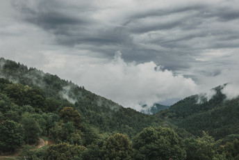 202508 - Alsace -110