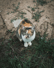 202508 - Alsace -134