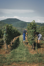 202508 - Alsace -113