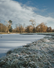 20260103-Hiver_Parc_Chateau_Rambouillet-53