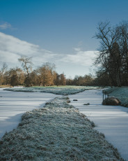 20260103-Hiver_Parc_Chateau_Rambouillet-49