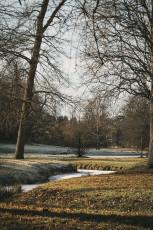 20260103-Hiver_Parc_Chateau_Rambouillet-39