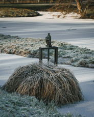 20260103-Hiver_Parc_Chateau_Rambouillet-20