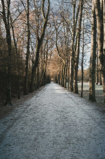 20260103-Hiver_Parc_Chateau_Rambouillet-25