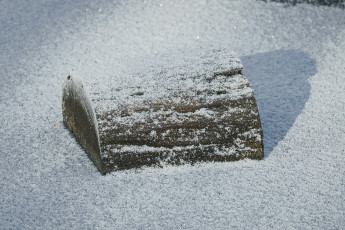 20260103-Hiver_Parc_Chateau_Rambouillet-19