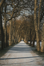 20260103-Hiver_Parc_Chateau_Rambouillet-5