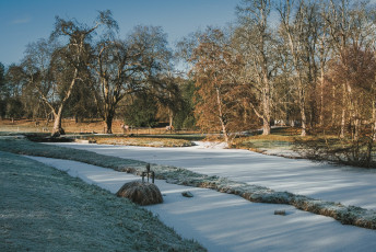 20260103-Hiver_Parc_Chateau_Rambouillet-46