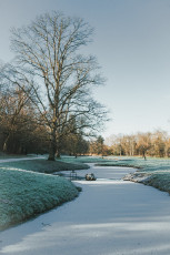 20260103-Hiver_Parc_Chateau_Rambouillet-45