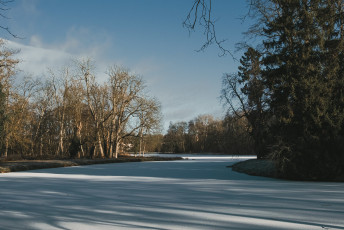 20260103-Hiver_Parc_Chateau_Rambouillet-35
