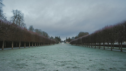 20260103-Hiver_Parc_Chateau_Rambouillet-10