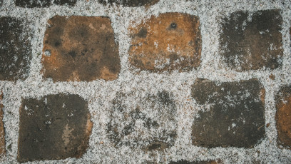 20260103-Hiver_Parc_Chateau_Rambouillet-62