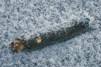 20260103-Hiver_Parc_Chateau_Rambouillet-26