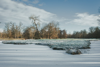 20260103-Hiver_Parc_Chateau_Rambouillet-50