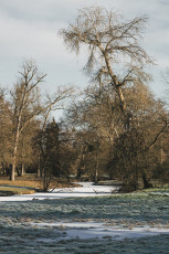 20260103-Hiver_Parc_Chateau_Rambouillet-17