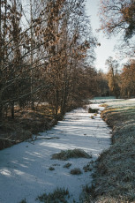 20260103-Hiver_Parc_Chateau_Rambouillet-43