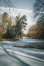 20260103-Hiver_Parc_Chateau_Rambouillet-34