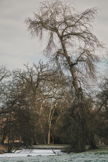 20260103-Hiver_Parc_Chateau_Rambouillet-27