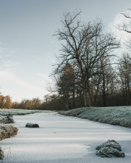 20260103-Hiver_Parc_Chateau_Rambouillet-52