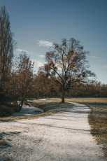 20260103-Hiver_Parc_Chateau_Rambouillet-42