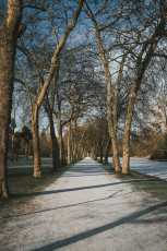 20260103-Hiver_Parc_Chateau_Rambouillet-40