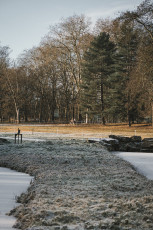 20260103-Hiver_Parc_Chateau_Rambouillet-29