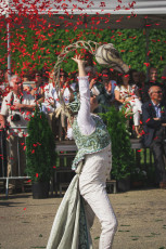 IMG_3286